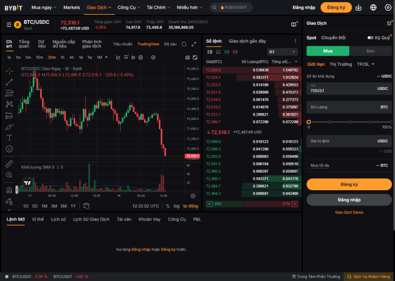 dautuphatdat bybit fees overview